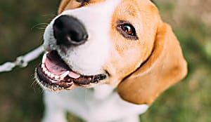 Have you seen what’s in my food?