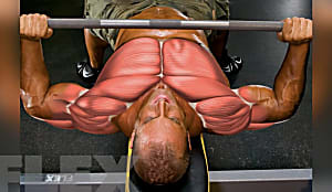 The strongest 10 Exercises to Build Chest Muscle Growth – viralxm.com
