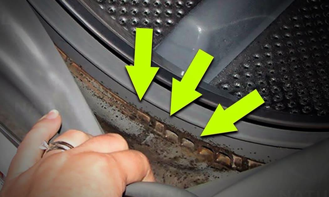 讓你的洗衣機在1分鐘內閃閃發光。看看如何做到。